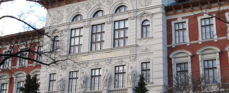 Fassade in Rot und Weiß mit Stuckelementen der Tokalic Bau GmbH